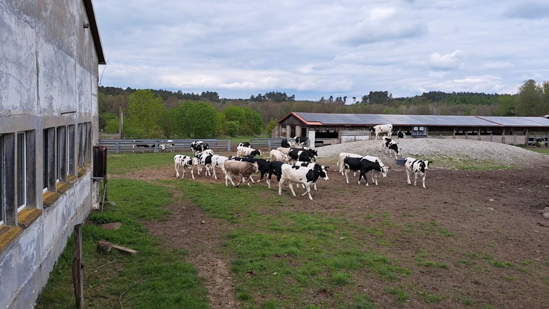 Neue Solaranlage in Raben