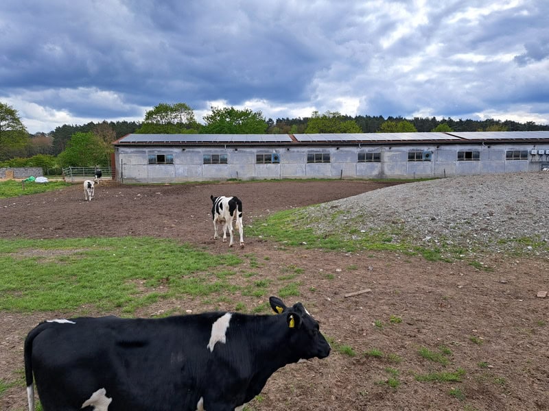 Neue Solaranlage in Raben